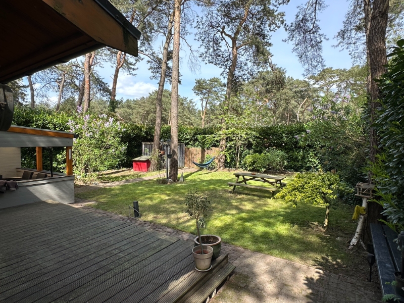 Hoofdfoto